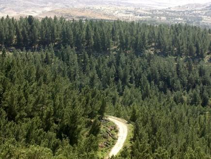Yagorov Chalet Yavneʼel Exterior foto